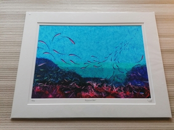 Anemone Bed
